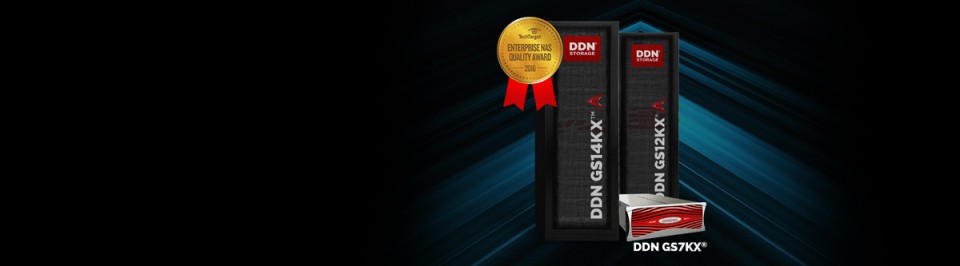 DDN GRIDScaler