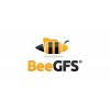 BeeGFS